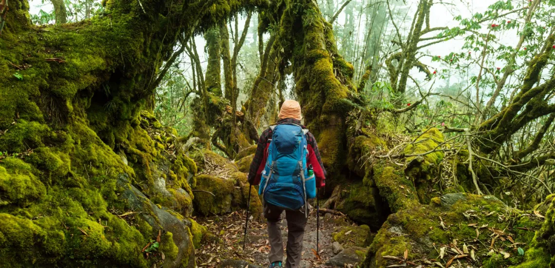 hiker-himalayan-jungles-nepal-kanchenjunga-region 1